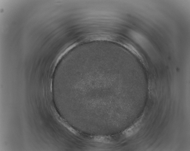 X0000062840790200601201637