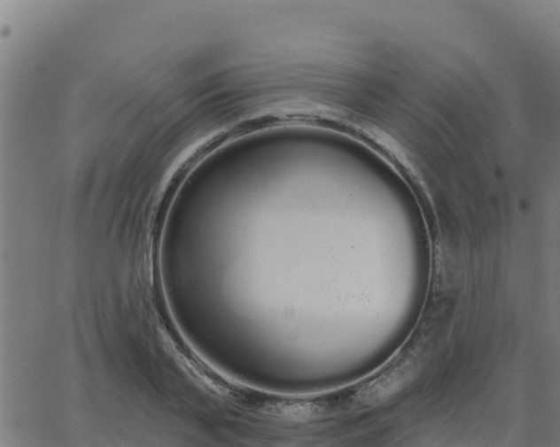 X0000062840791200601201637