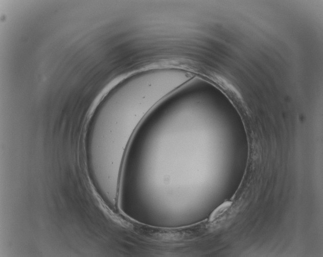 X0000062840792200601201637