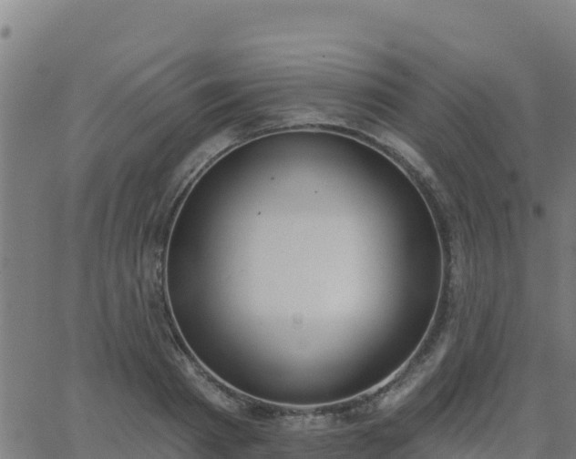 X0000062840793200601201637