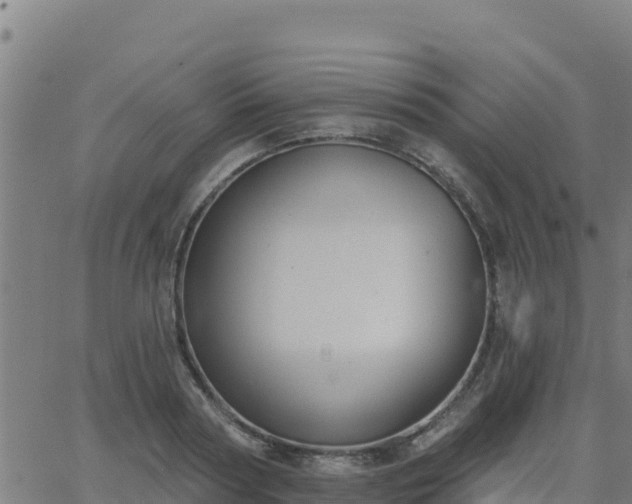 X0000062840794200601201637