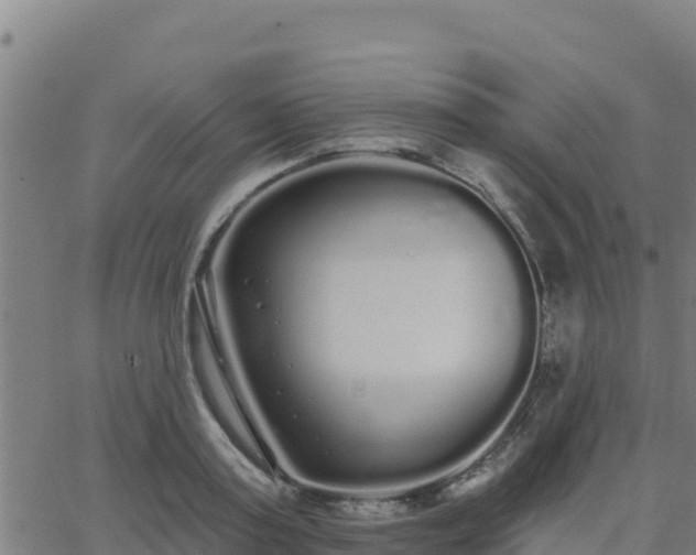 X0000062840795200601201637