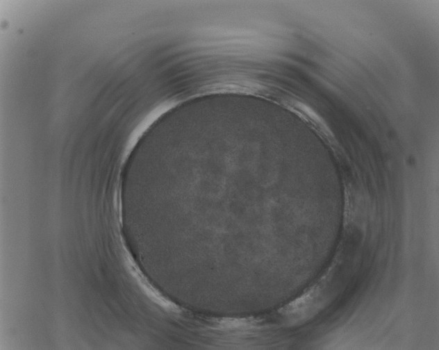 X0000062840796200601201636