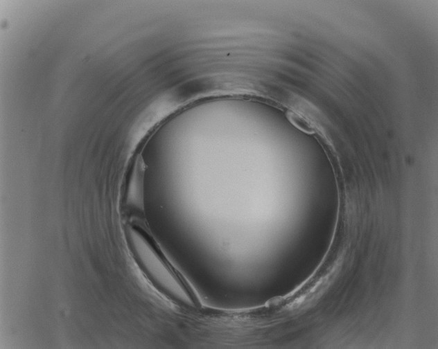 X0000062840797200601201636