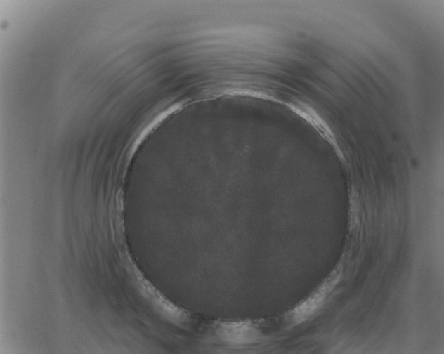 X0000062840798200601201636