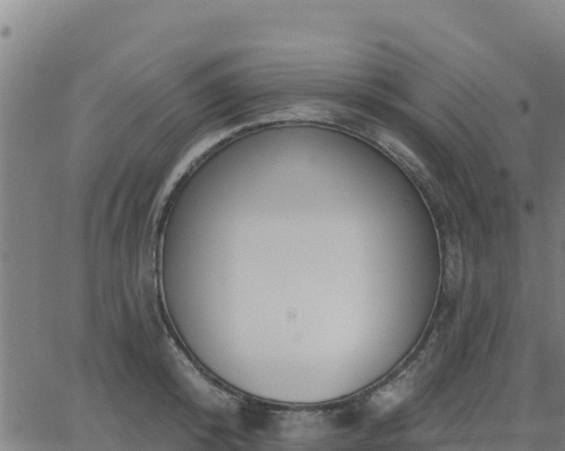 X0000062840800200601201636