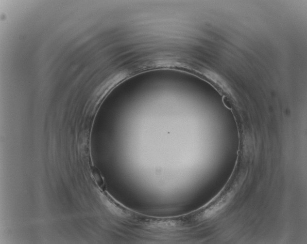 X0000062840801200601201636