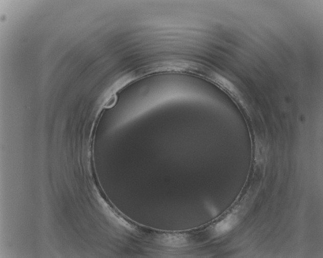 X0000062840802200601201636