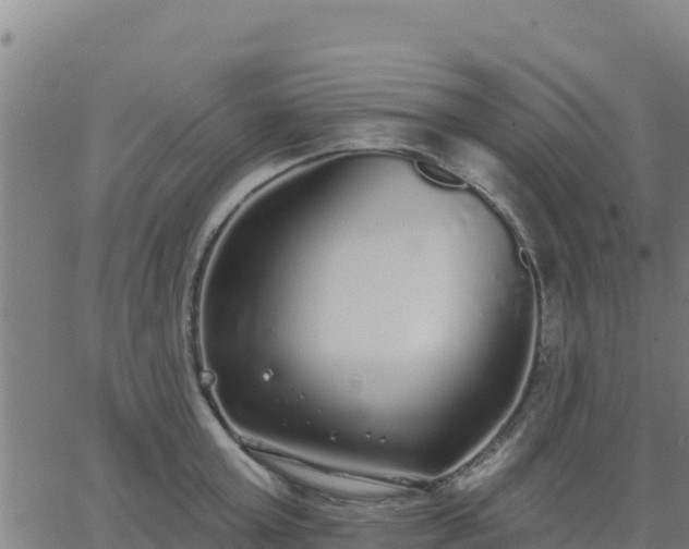 X0000062840803200601201636