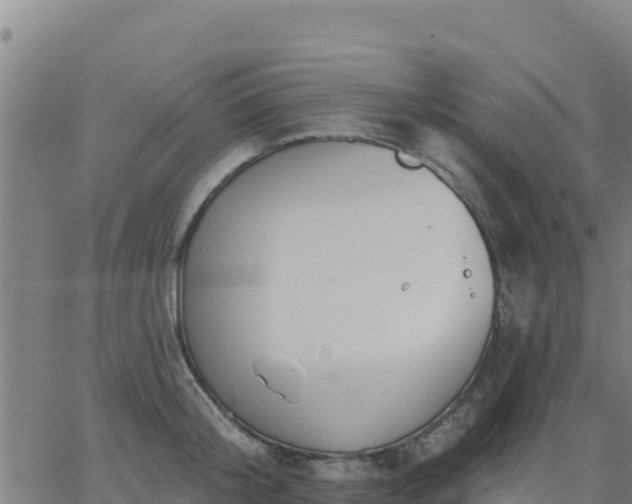 X0000062840804200601201636