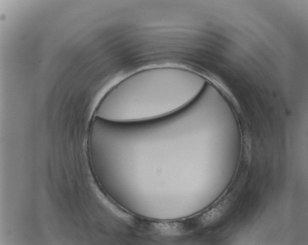 X0000062840805200601201636