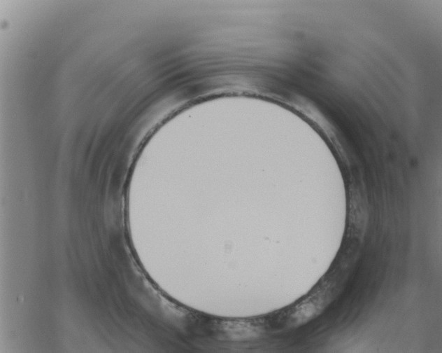 X0000062840807200601201636