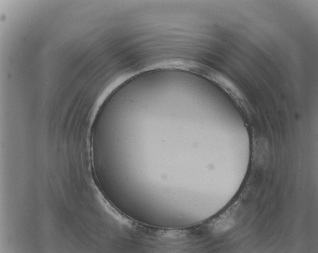 X0000062840808200601201636