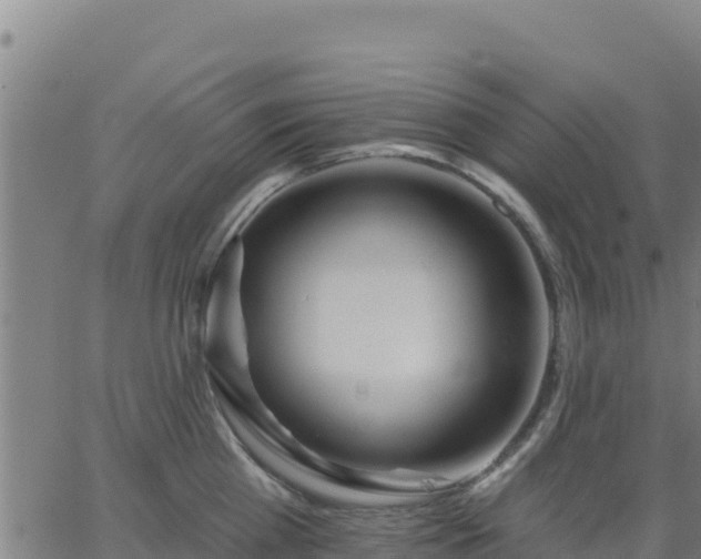 X0000062840809200601201636