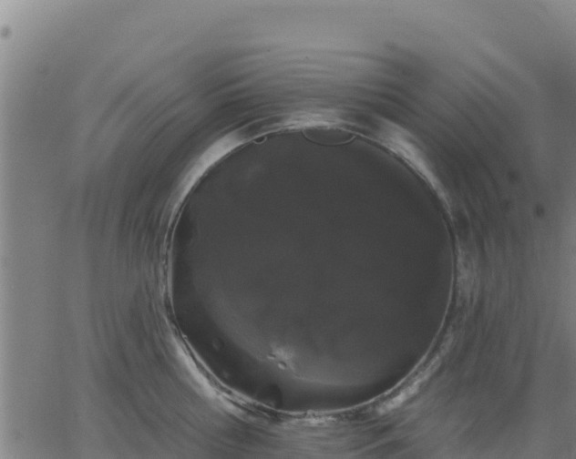 X0000062840810200601201636