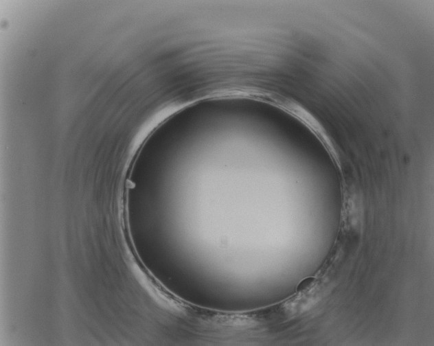 X0000062840811200601201636