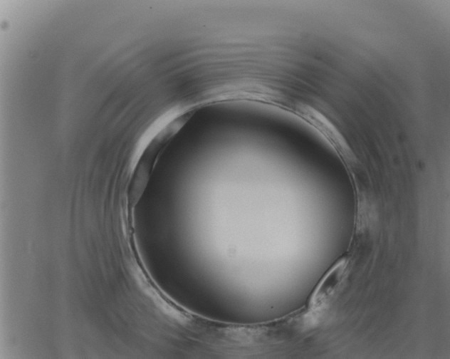 X0000062840812200601201636