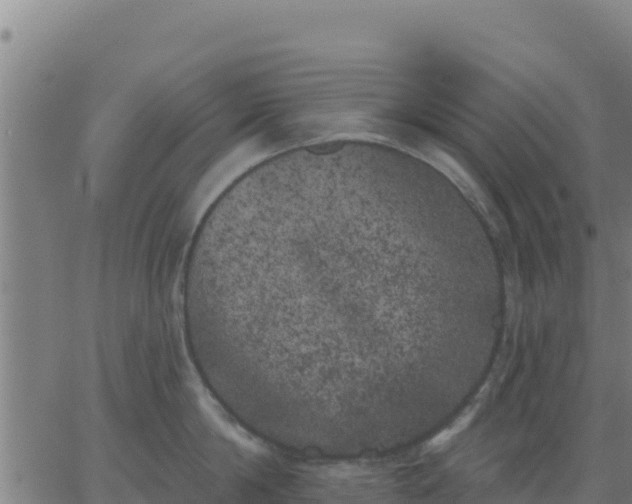 X0000062840814200601201636