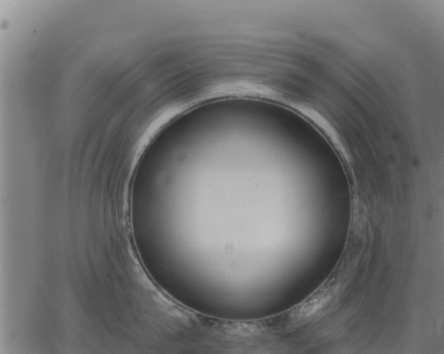 X0000062840815200601201636