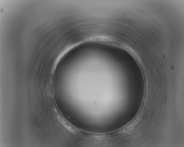 X0000062840816200601201636