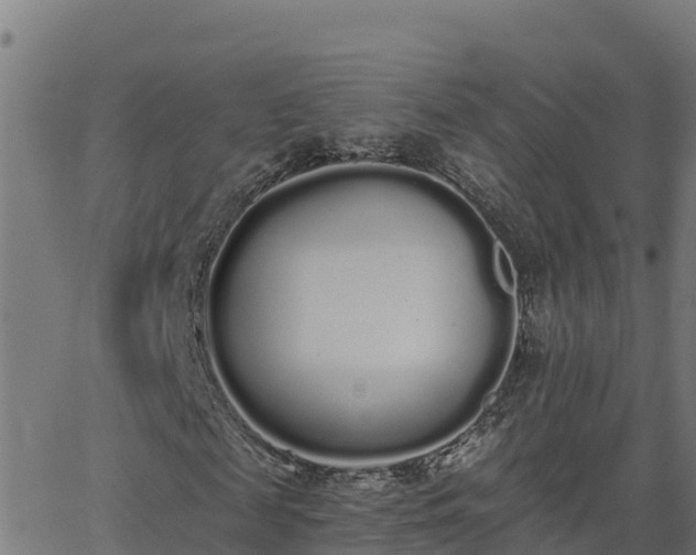 X0000062840817200601201635