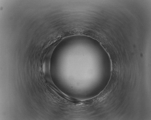 X0000062840818200601201635