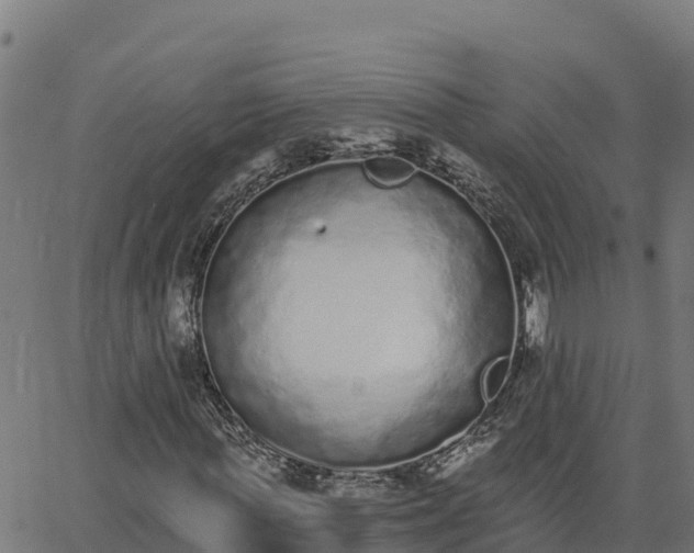 X0000062840819200601201635