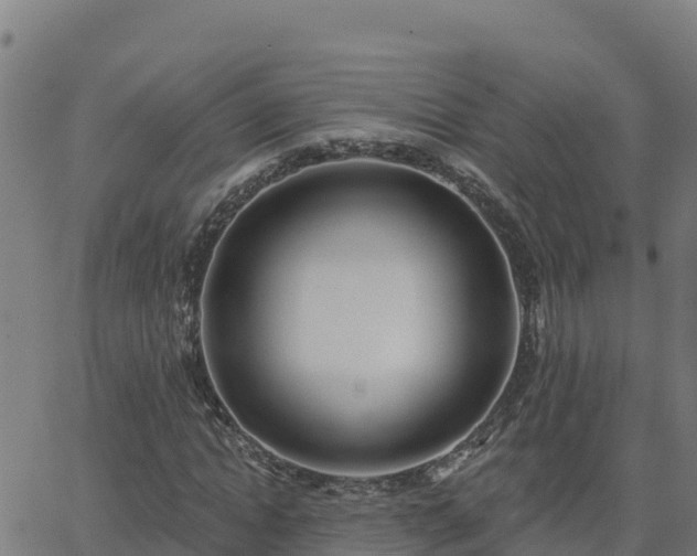 X0000062840822200601201635