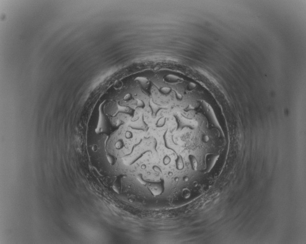 X0000062840823200601201635