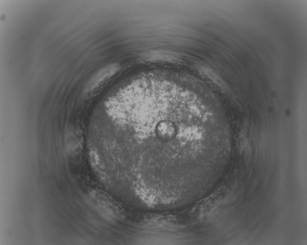 X0000062840824200601201635