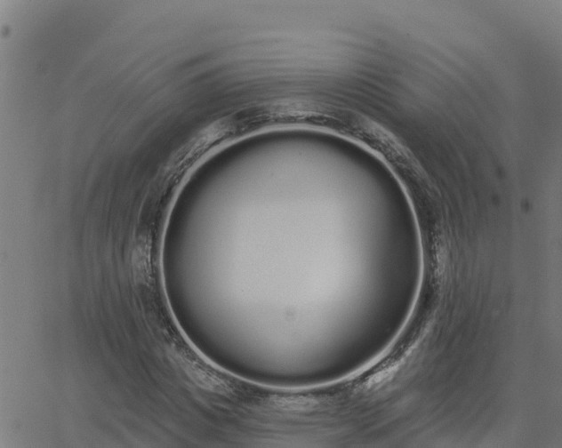 X0000062840825200601201636