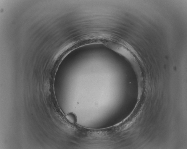 X0000062840826200601201636