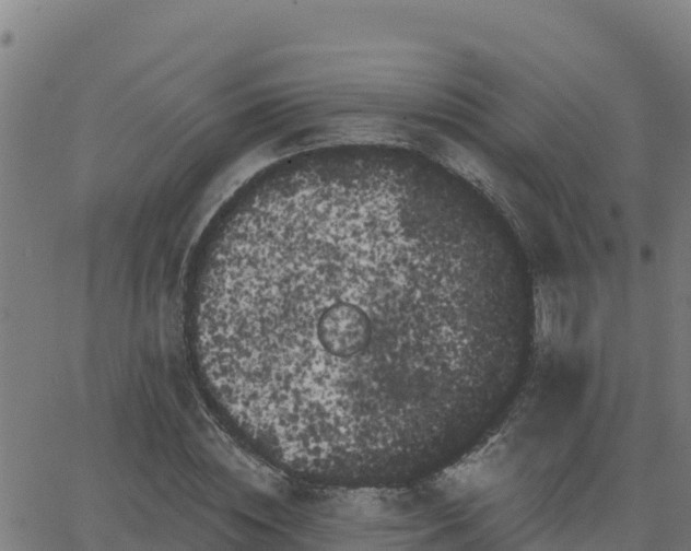 X0000062840828200601201636