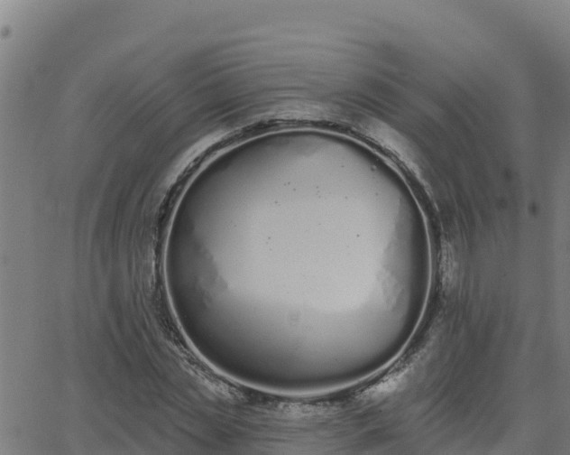 X0000062840829200601201636