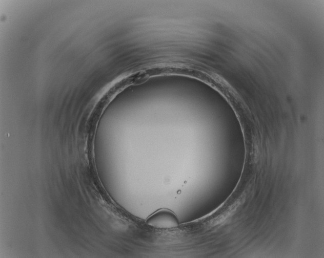 X0000062840830200601201636