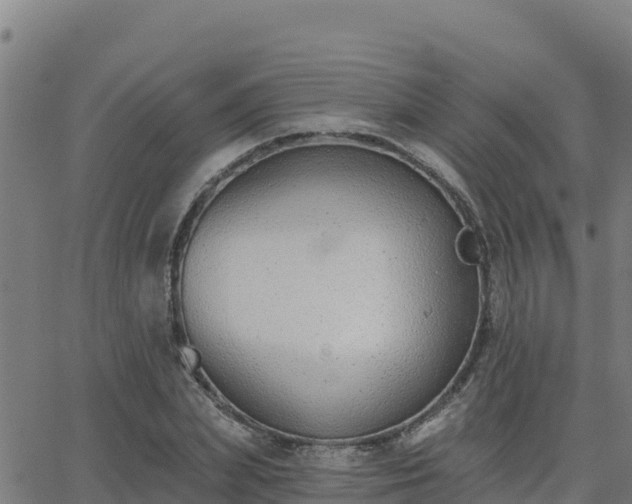 X0000062840831200601201636