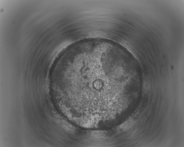 X0000062840832200601201636