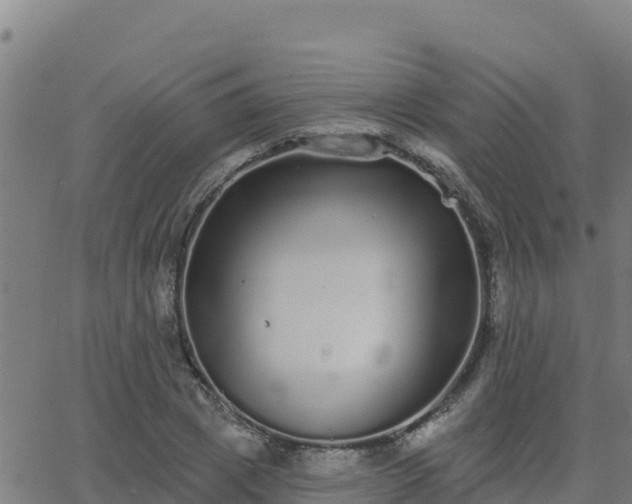 X0000062840833200601201636