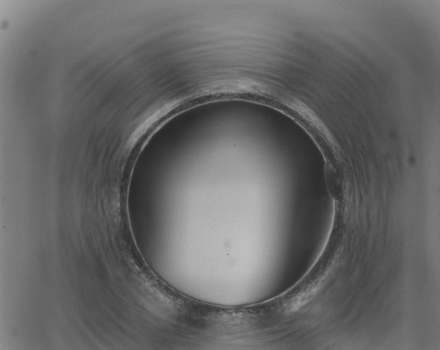 X0000062840834200601201636