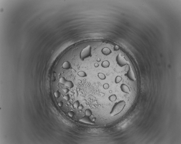 X0000062840835200601201636