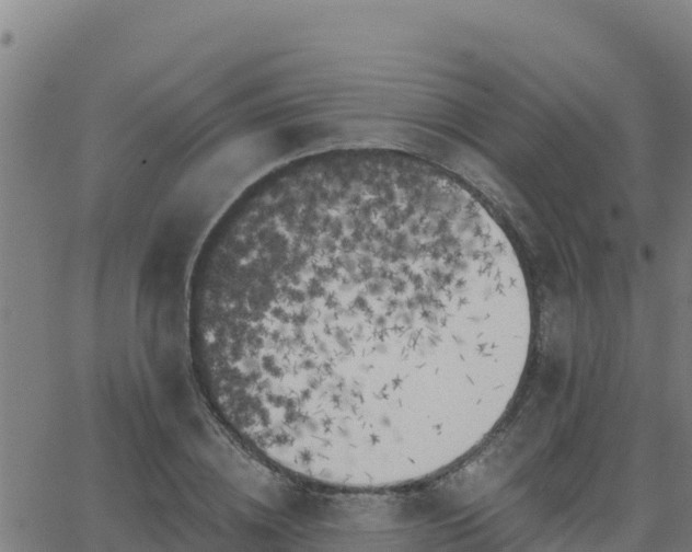 X0000062840836200601201636