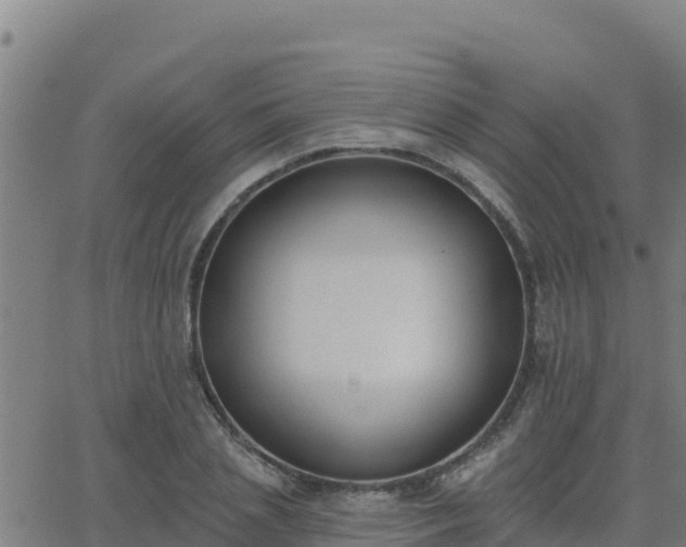 X0000062840837200601201636