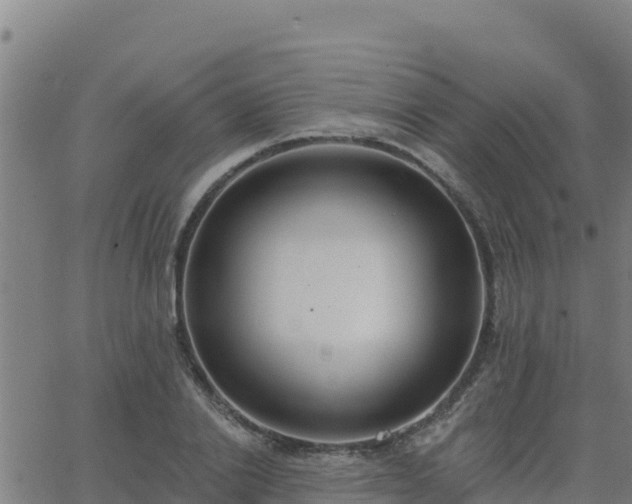 X0000062840838200601201636