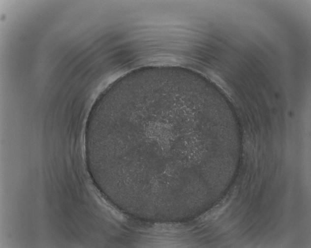 X0000062840840200601201636