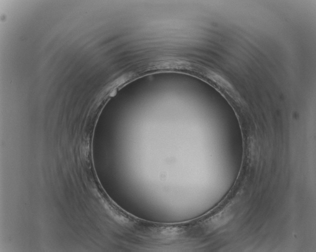 X0000062840841200601201636