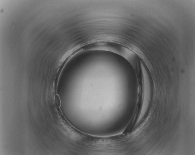 X0000062840842200601201636