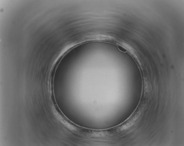 X0000062840843200601201636