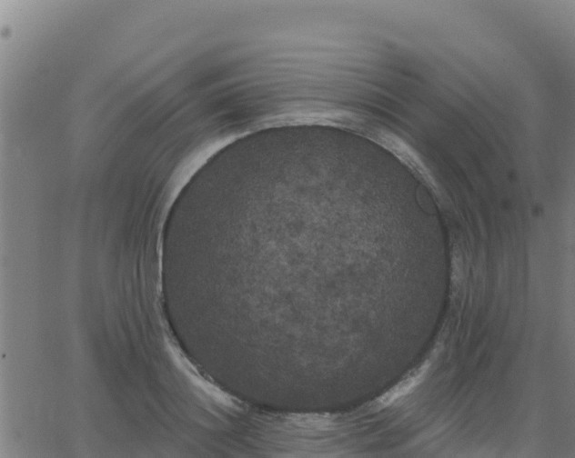 X0000062840844200601201636