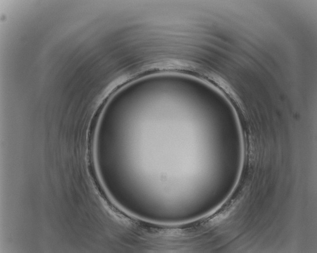 X0000062840845200601201636