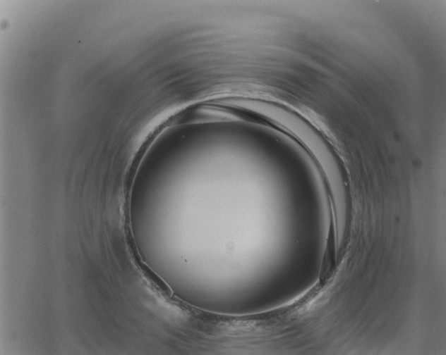 X0000062840846200601201636